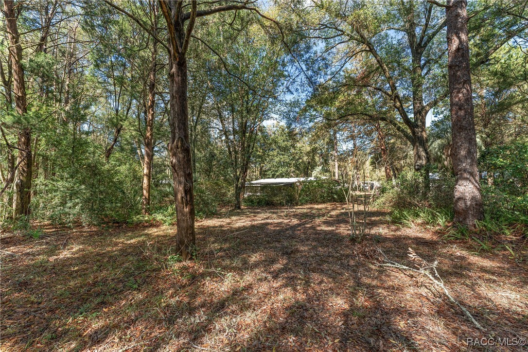 15522 SW 3rd Lane, Ocala, Florida image 39