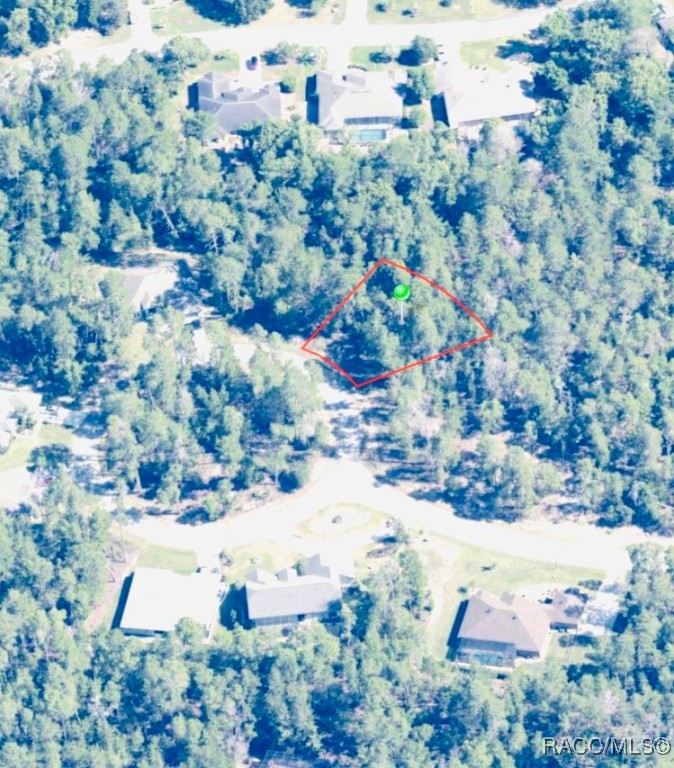 15 Cosmos Court, Homosassa, Florida image 2