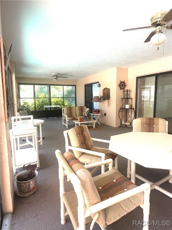 716 Windy Avenue, Inverness, Florida image 50