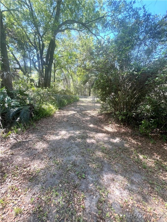 716 Windy Avenue, Inverness, Florida image 43