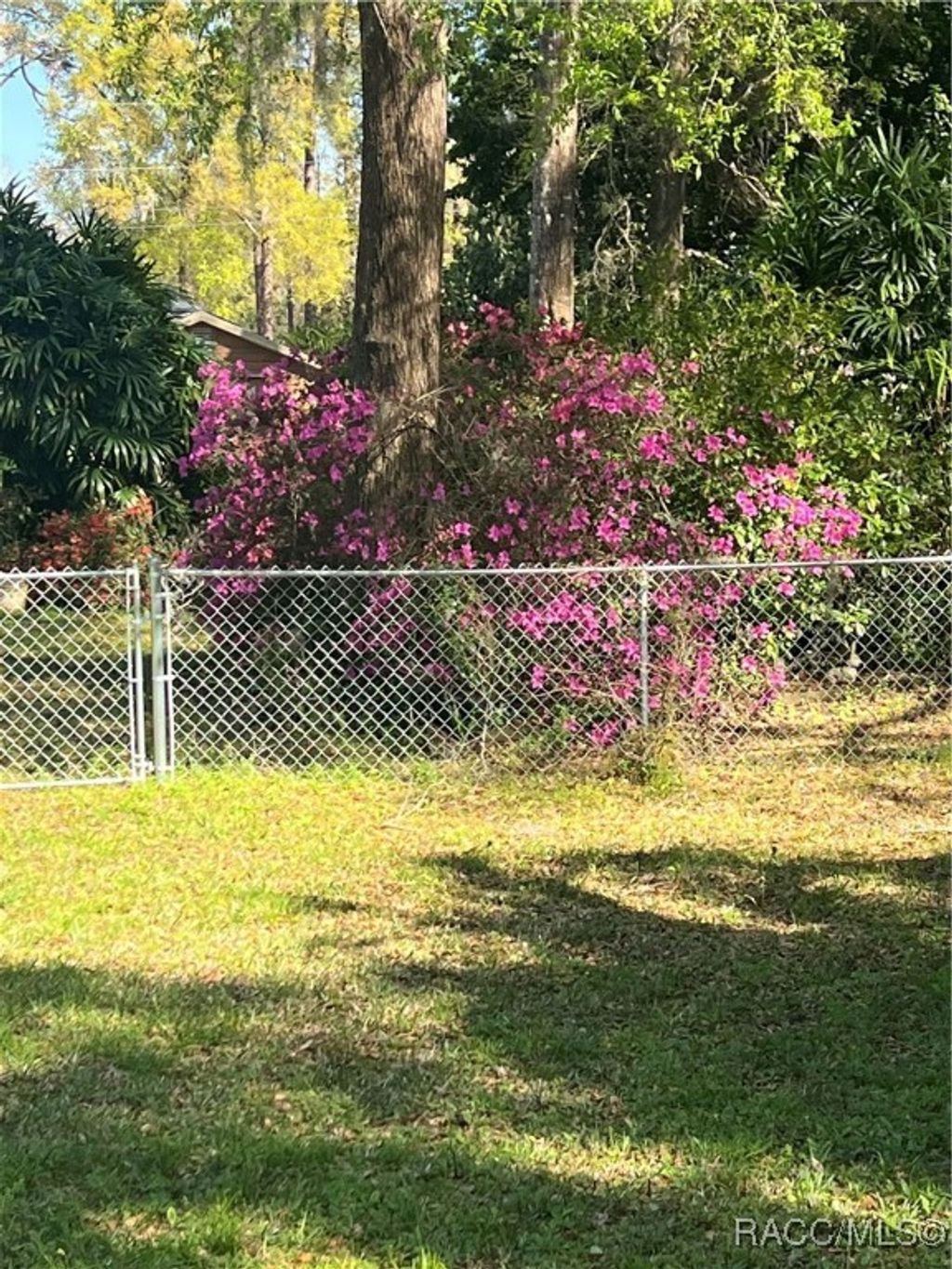 listing image 58