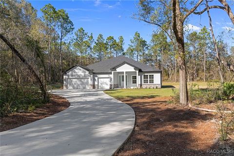 1215 E Getty Lane Hernando FL 34442