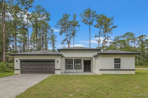 2958 W Striblin Drive Citrus Springs FL 34433