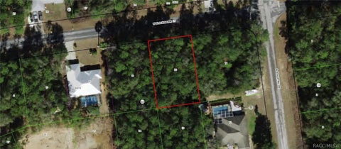 Vacant Land For Sale - 1884 W Blackhawk Place<br/> Citrus Springs, FL 34434