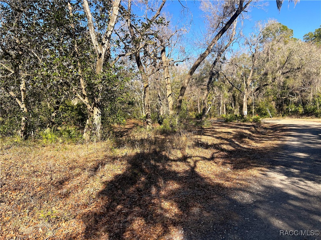 1903 W Springlake Drive, Dunnellon, Florida image 3