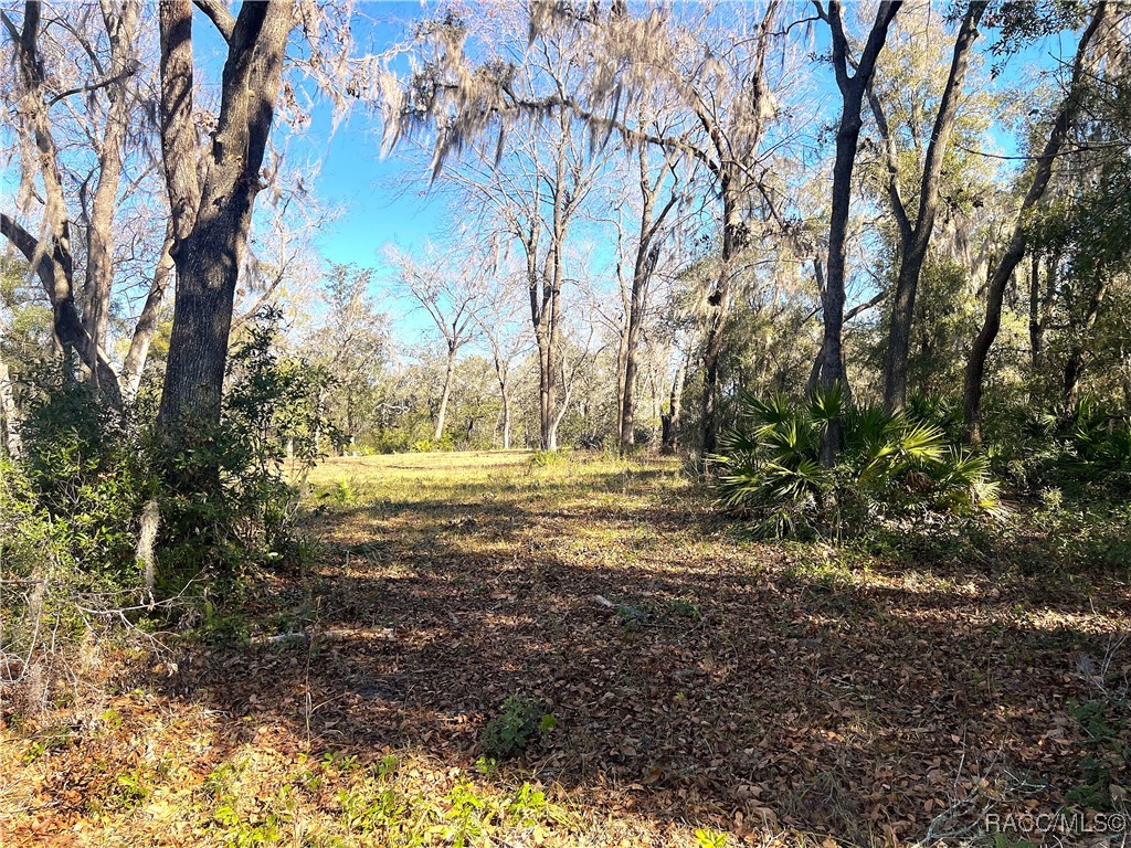 1903 W Springlake Drive, Dunnellon, Florida image 14