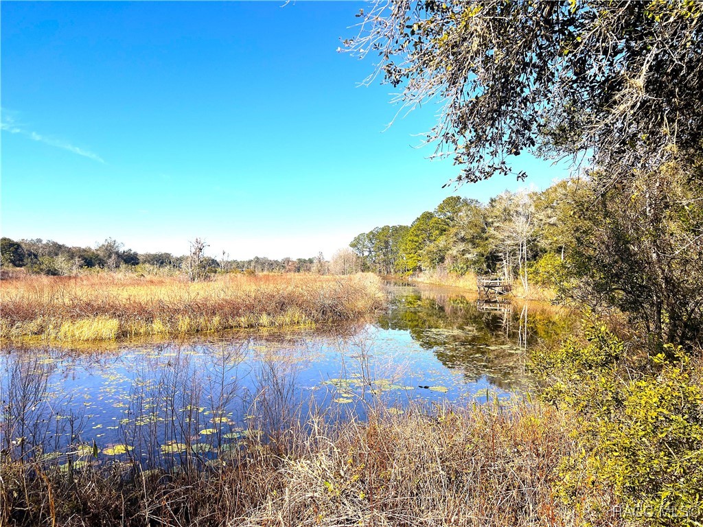 1903 W Springlake Drive, Dunnellon, Florida image 15