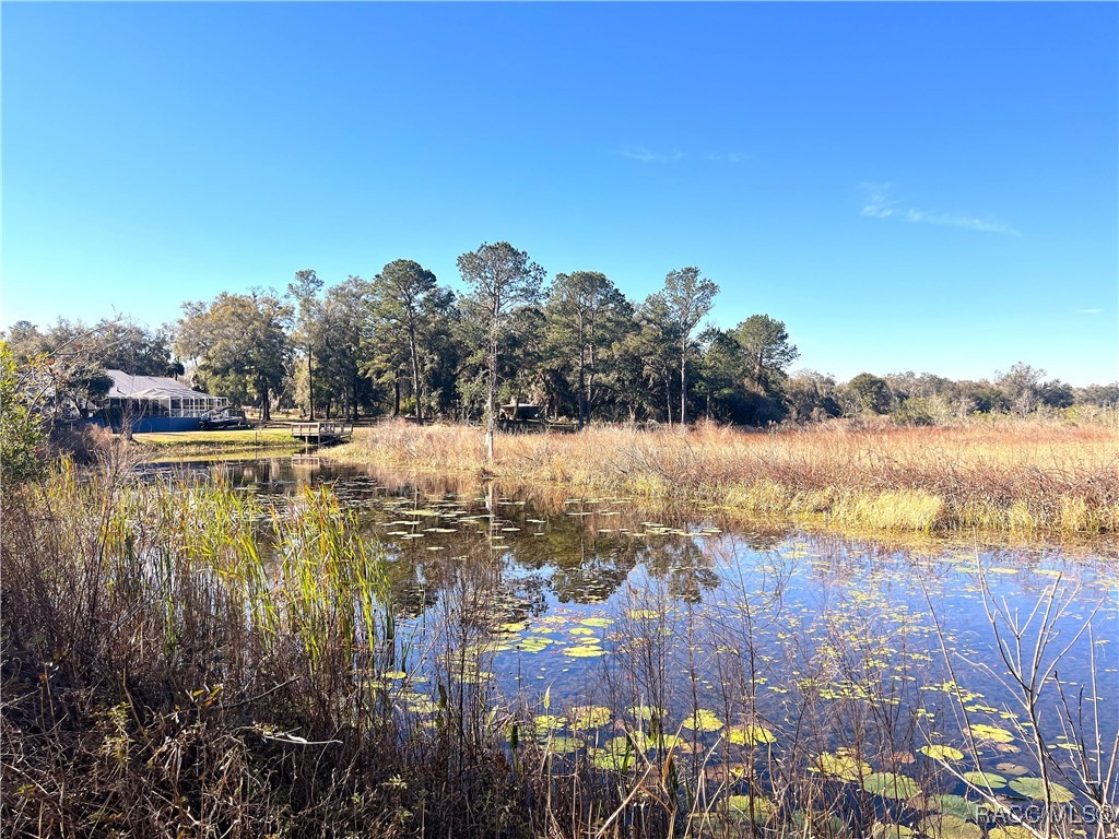 1903 W Springlake Drive, Dunnellon, Florida image 4