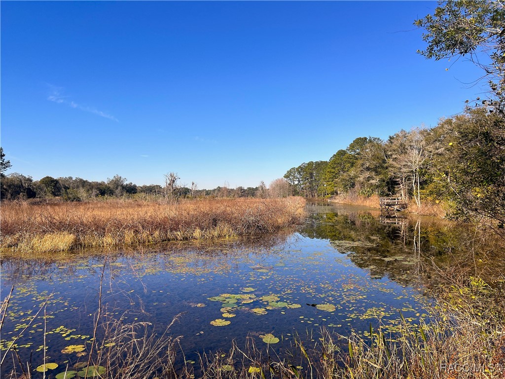 1903 W Springlake Drive, Dunnellon, Florida image 13