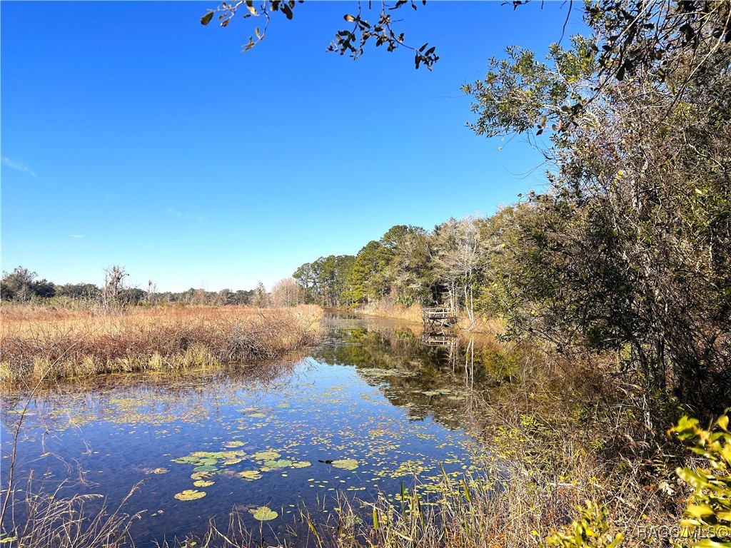 1903 W Springlake Drive, Dunnellon, Florida image 9