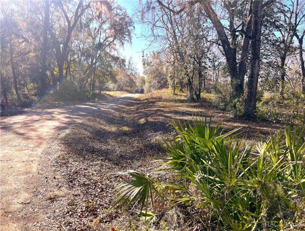 1903 W Springlake Drive, Dunnellon, Florida image 6