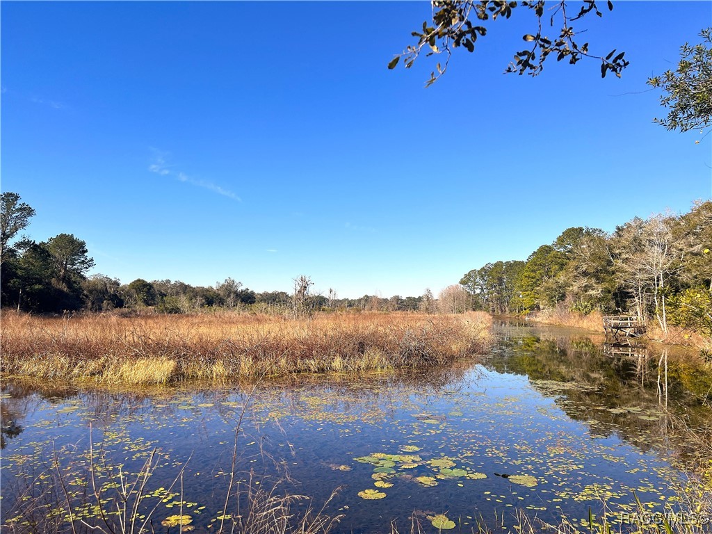 1903 W Springlake Drive, Dunnellon, Florida image 2