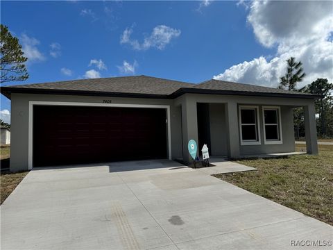 A home in Citrus Springs