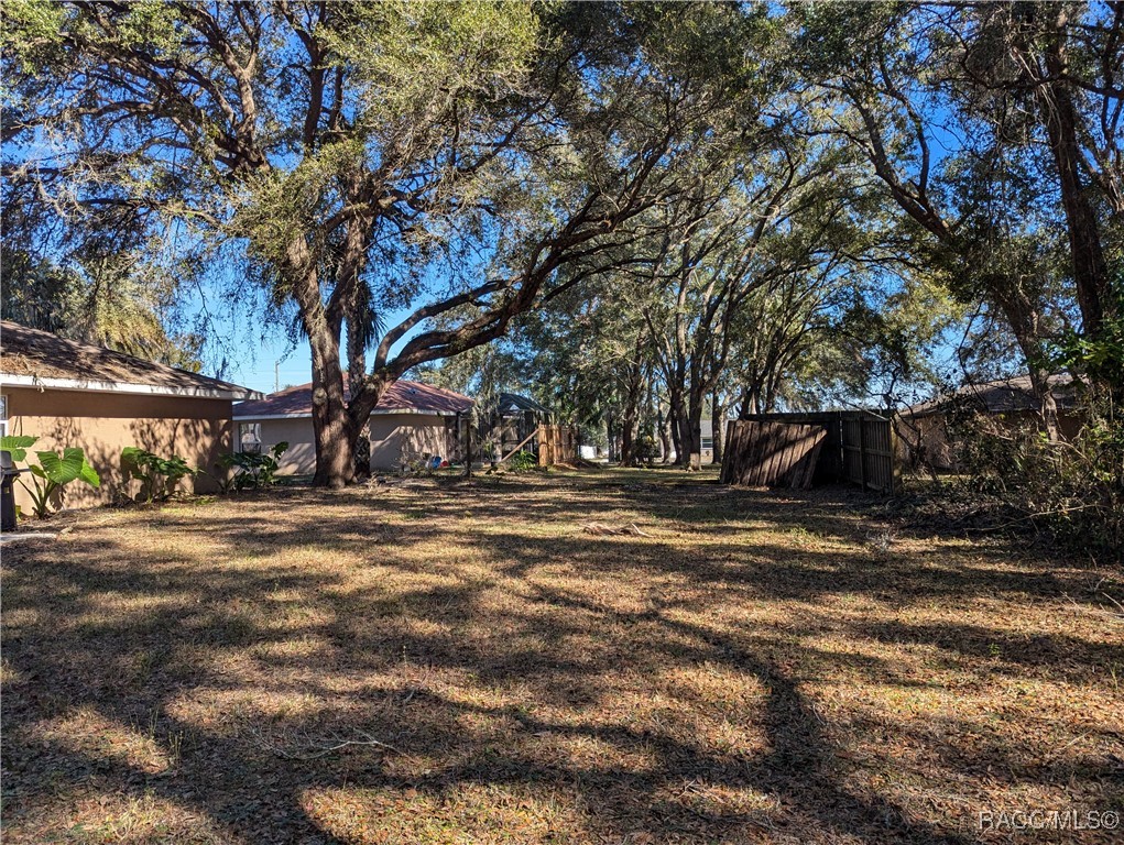 4118 E Sanders Street, Inverness, Florida image 3