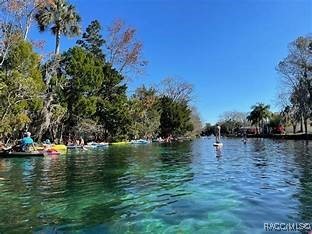 719 W Hallam Drive, Citrus Springs, Florida image 5