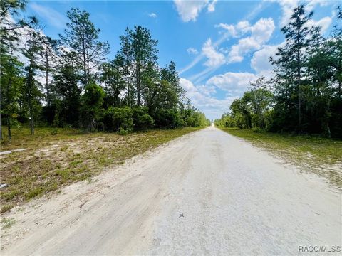 Vacant Land For Sale - 0000 NE 131 Terrace<br/> Williston, FL 32696