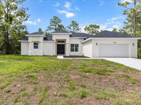 5507 W Paprika Loop Homosassa FL 34448