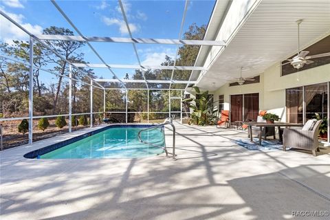 A home in Homosassa