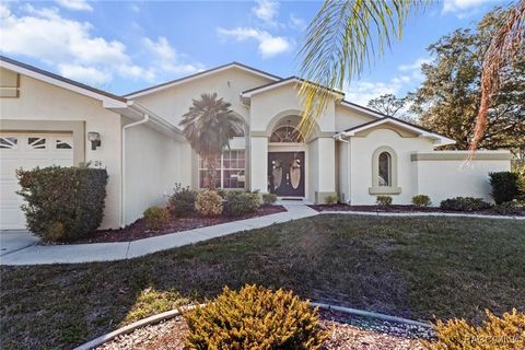 A home in Homosassa