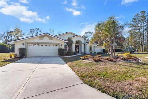 A home in Homosassa
