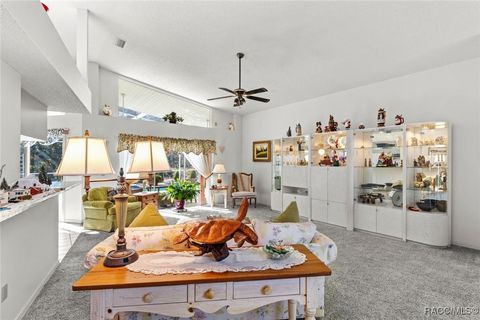 A home in Homosassa
