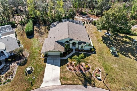 A home in Homosassa