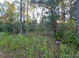 4930 N Sandpebble Point, Crystal River, New York image 3