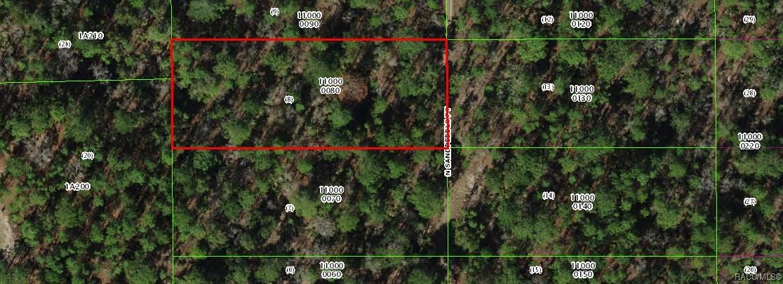 4930 N Sandpebble Point, Crystal River, New York image 1