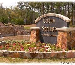 641 W Marguerita Drive, Citrus Springs, Florida image 7