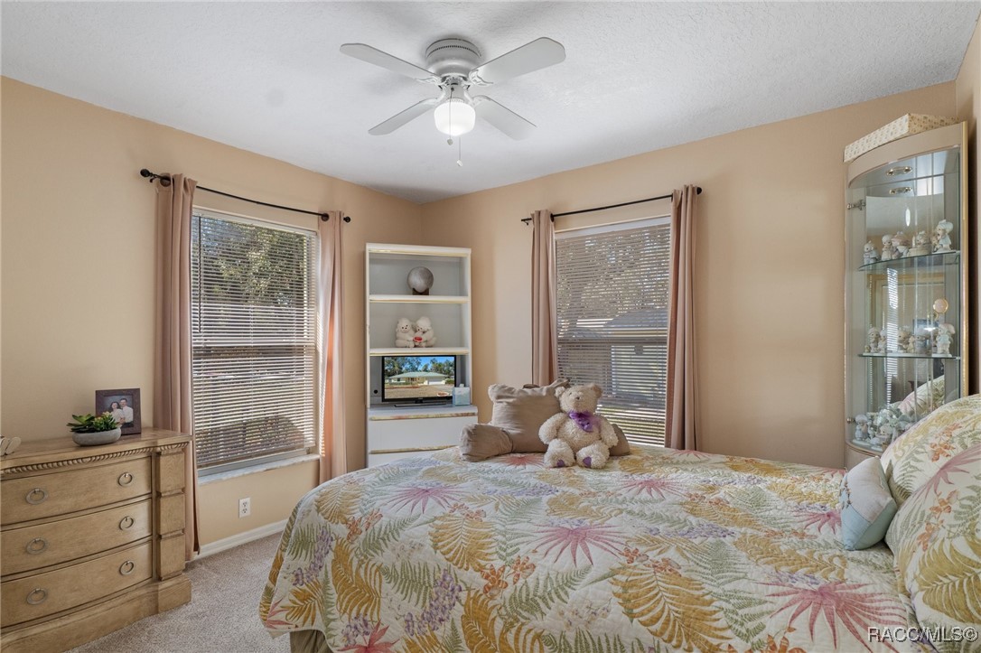 5096 S Swallow Avenue, Inverness, Florida image 22
