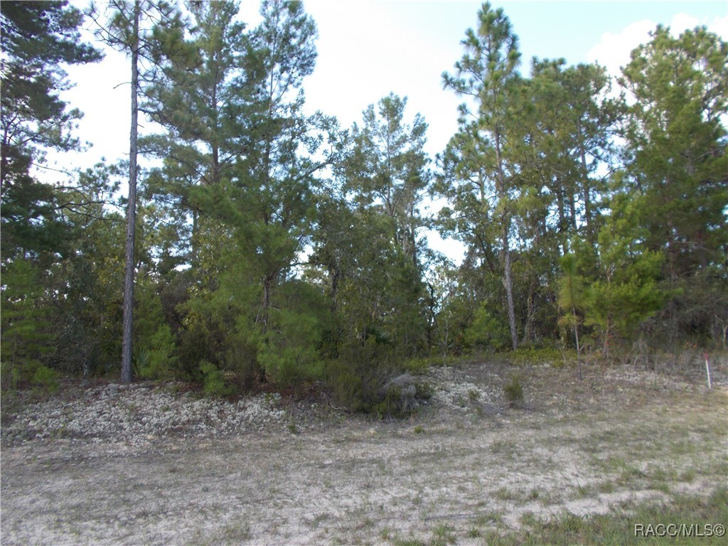 Beverly Hills, Florida 34465, United States, ,Land,Active,196026 Beverly Hills, Florida 34465, United States, ,Land,Active,196026