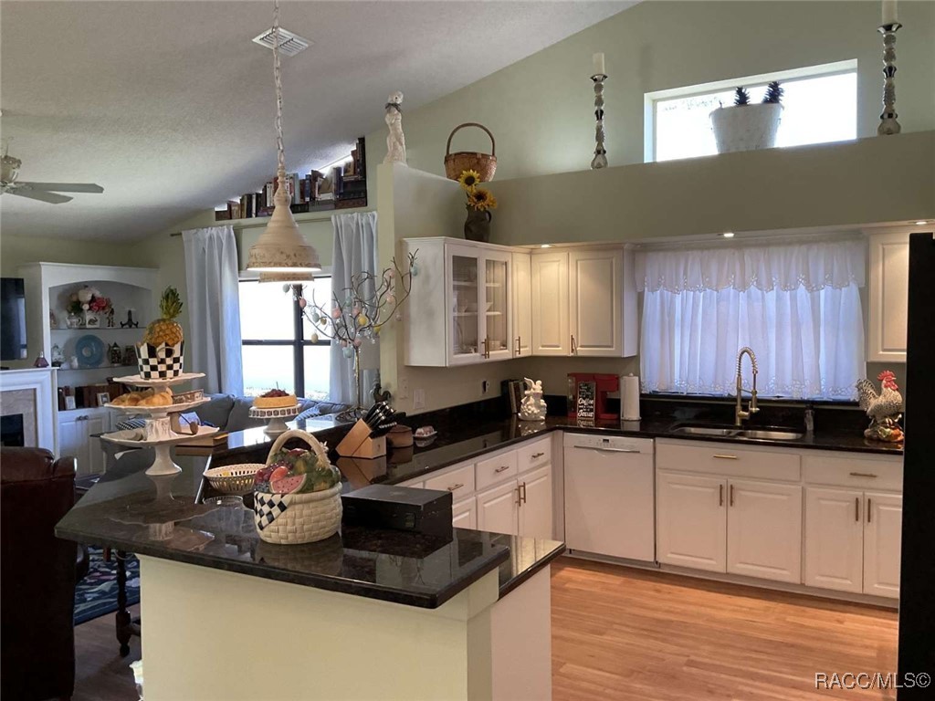 7360 Clearmeadow Drive, Spring Hill, Florida image 13