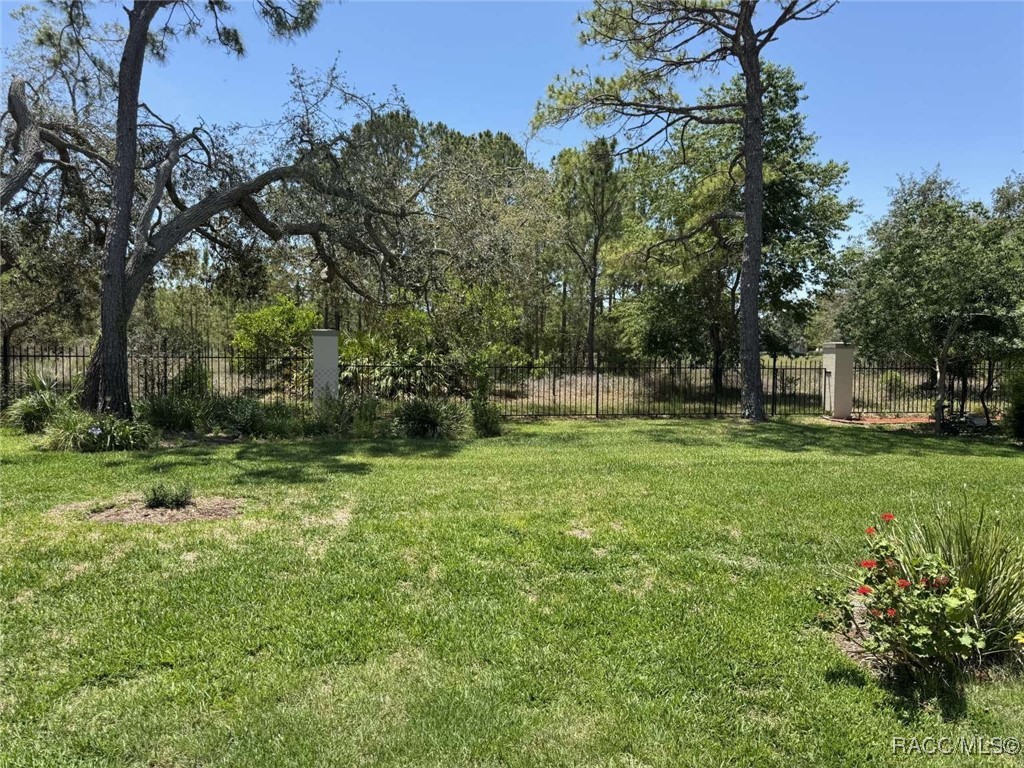 7360 Clearmeadow Drive, Spring Hill, Florida image 22
