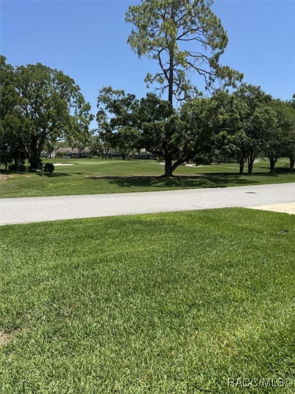 7360 Clearmeadow Drive, Spring Hill, Florida image 23