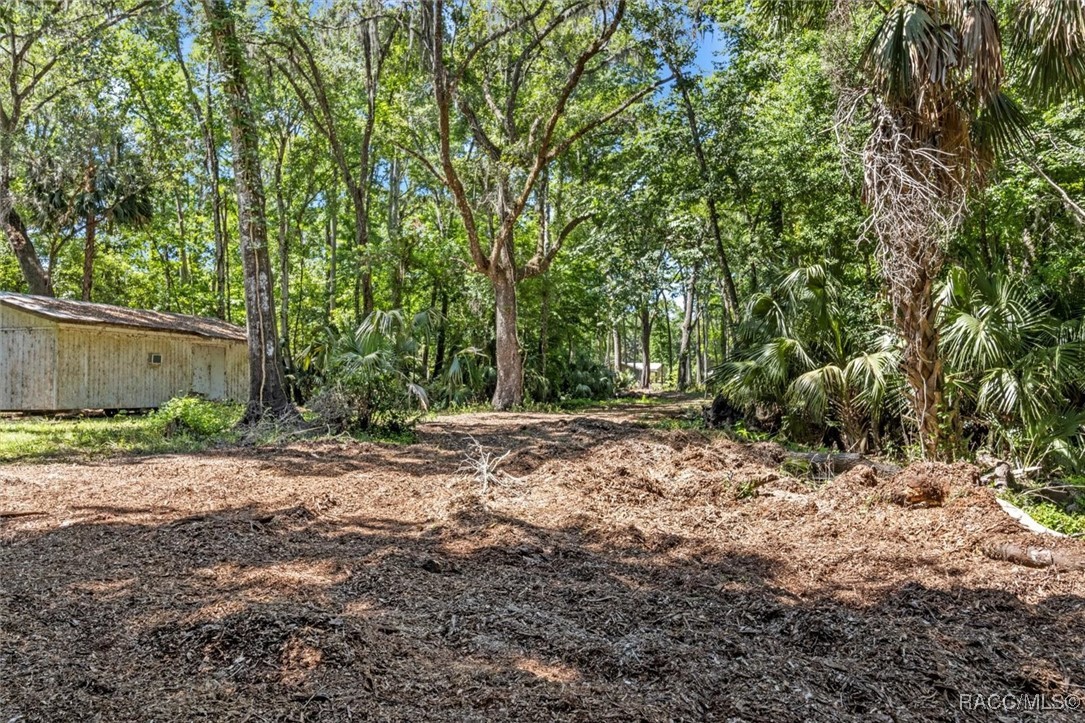 11529 E Locksley Court, Inverness, Florida image 40