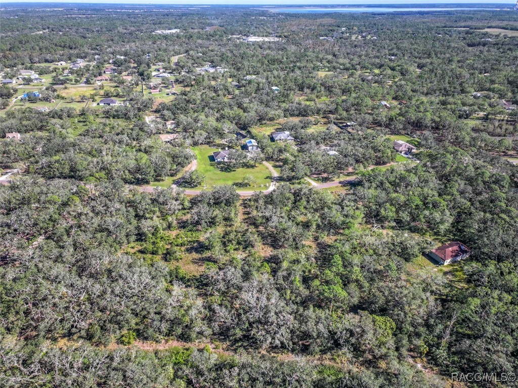 1 Ponderosa Trail Trail, Wimauma, Florida image 3