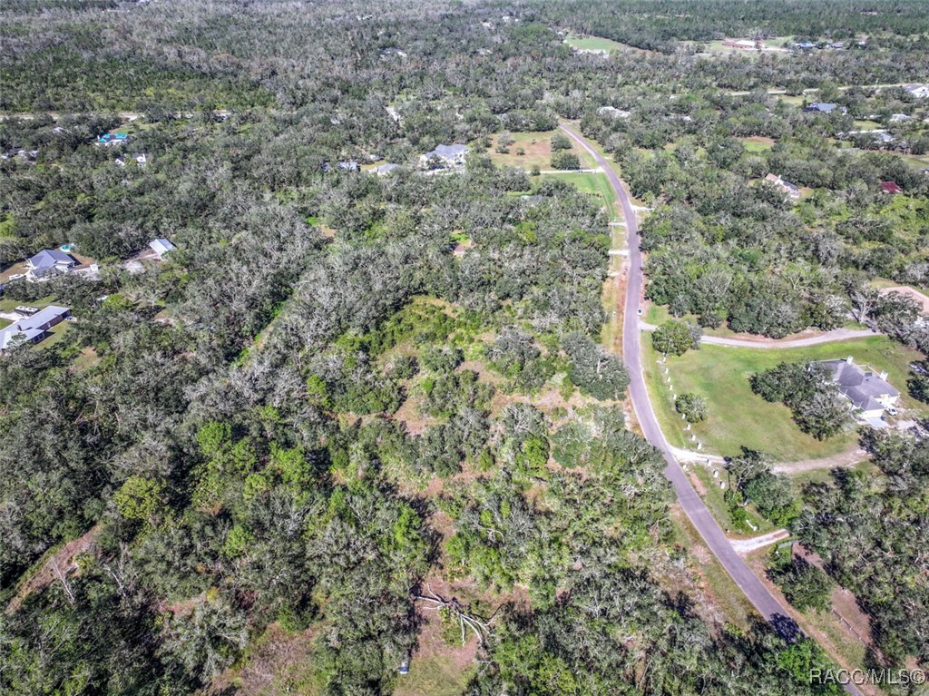 1 Ponderosa Trail Trail, Wimauma, Florida image 2