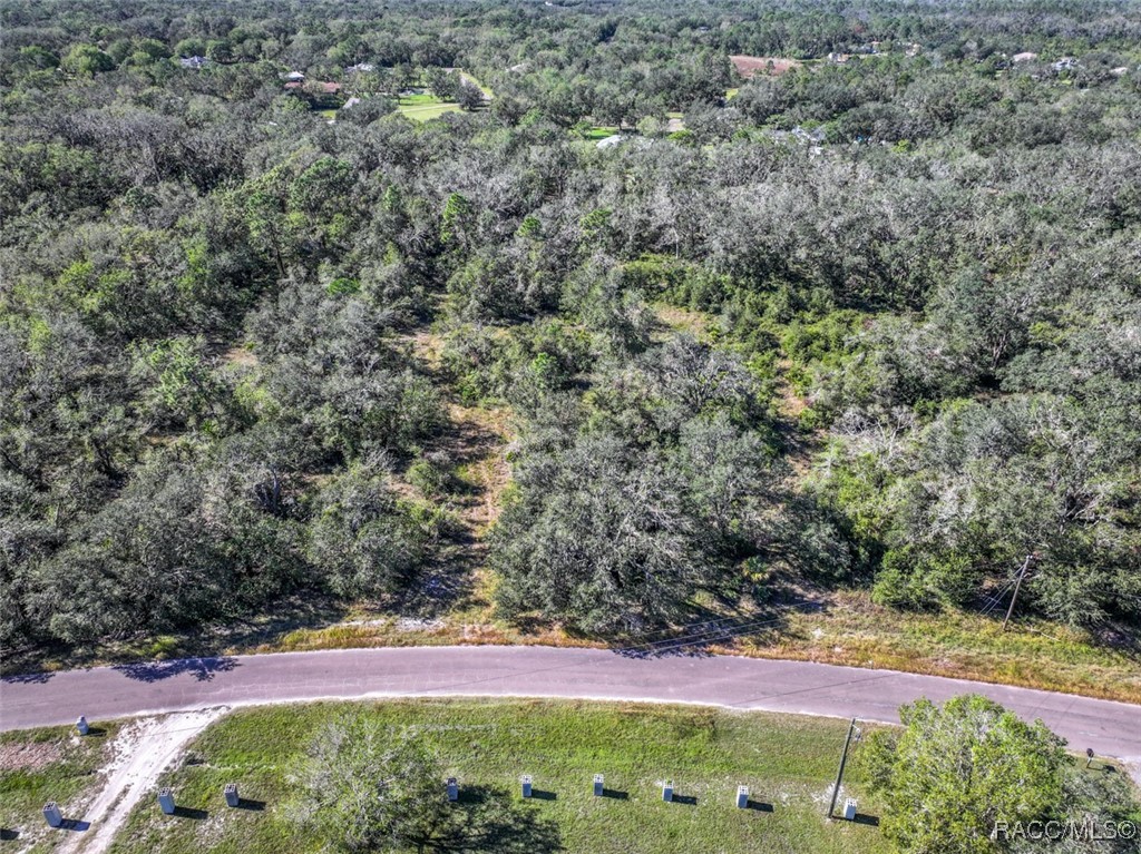 1 Ponderosa Trail Trail, Wimauma, Florida image 1