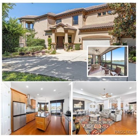 1147 W Pointe Vista Path C1 Hernando FL 34442