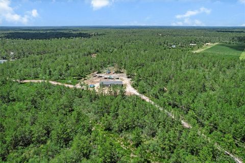 4510 W Gallagher Street Citrus Springs FL 34433