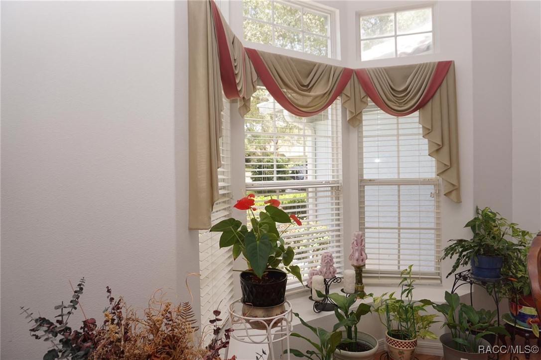 4213 N Baywood Drive, Hernando, Florida image 9