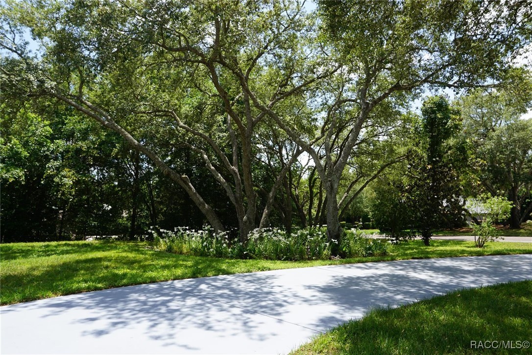 4213 N Baywood Drive, Hernando, Florida image 4