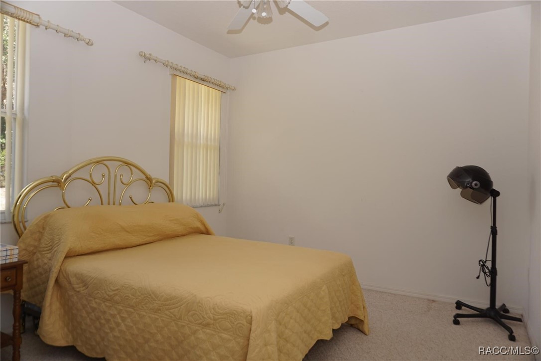 4213 N Baywood Drive, Hernando, Florida image 36