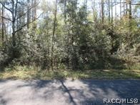 0000 SW Monaco Court, Dunnellon, Florida image 2