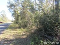 0000 SW Monaco Court, Dunnellon, Florida image 3