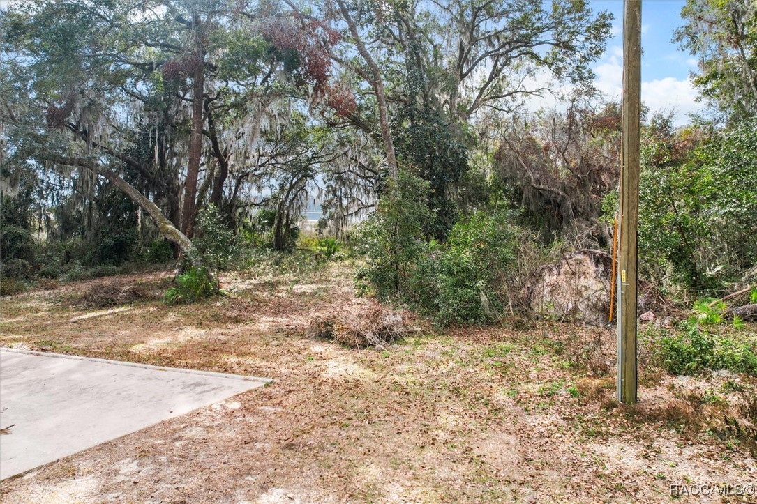 2629 N Perfect Point, Hernando, Florida image 8