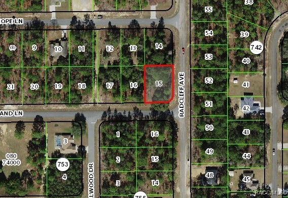 2305 W Oakland Lane, Citrus Springs, New York image 2