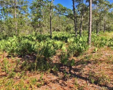 Vacant Land For Sale - 8503 W Freemont Street<br/> Citrus County, Homosassa, FL 34448