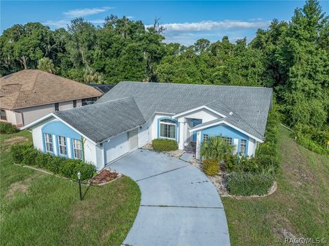 A home in Hernando