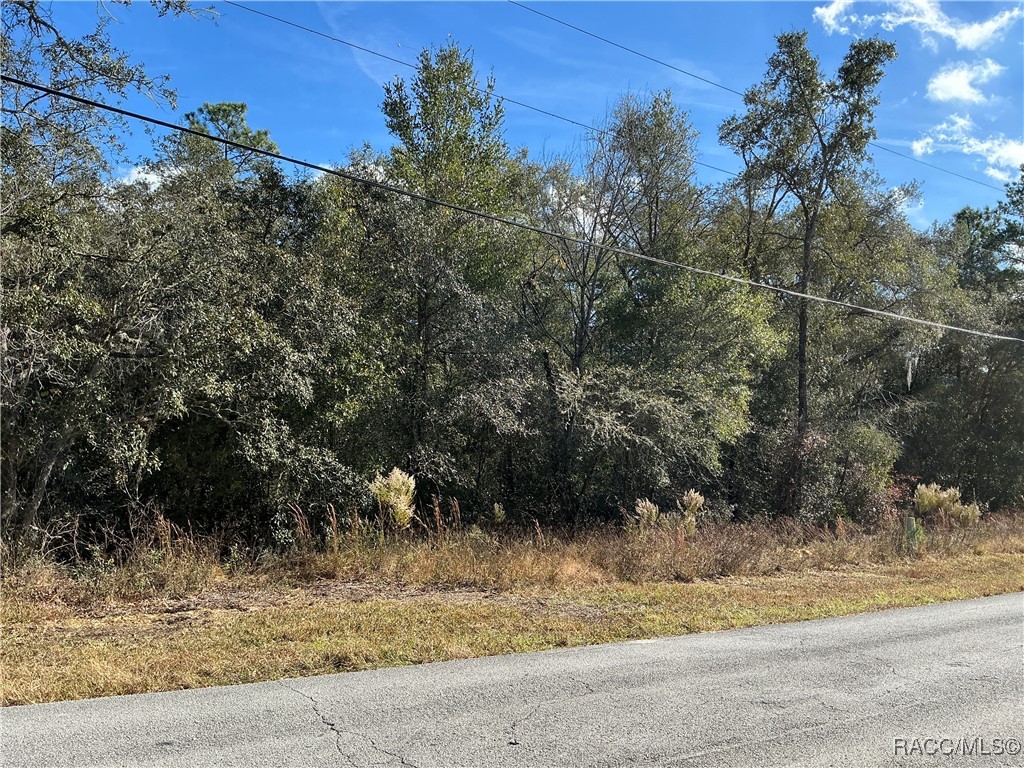 3157 N Hamlin Terrace